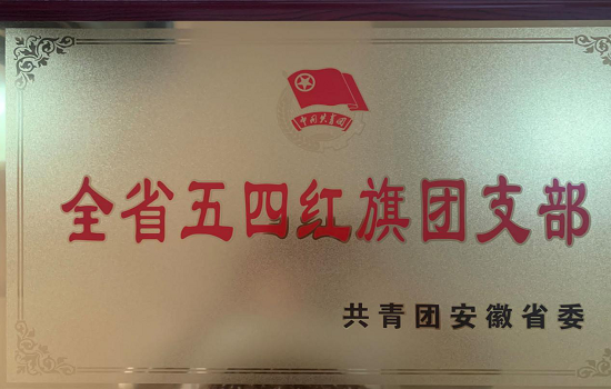 beat365电气信息工程学院2018级通信工程团总支荣获“全省五四红旗团（总）支部”称号